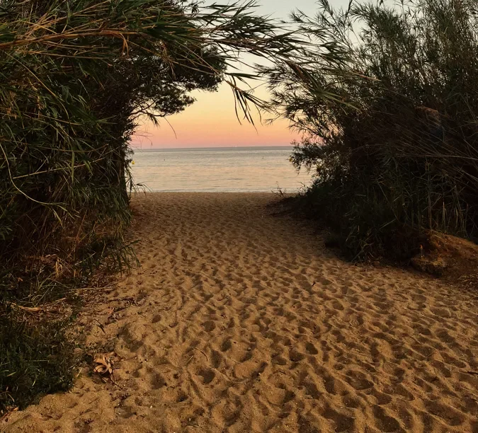 Beach path at dusk