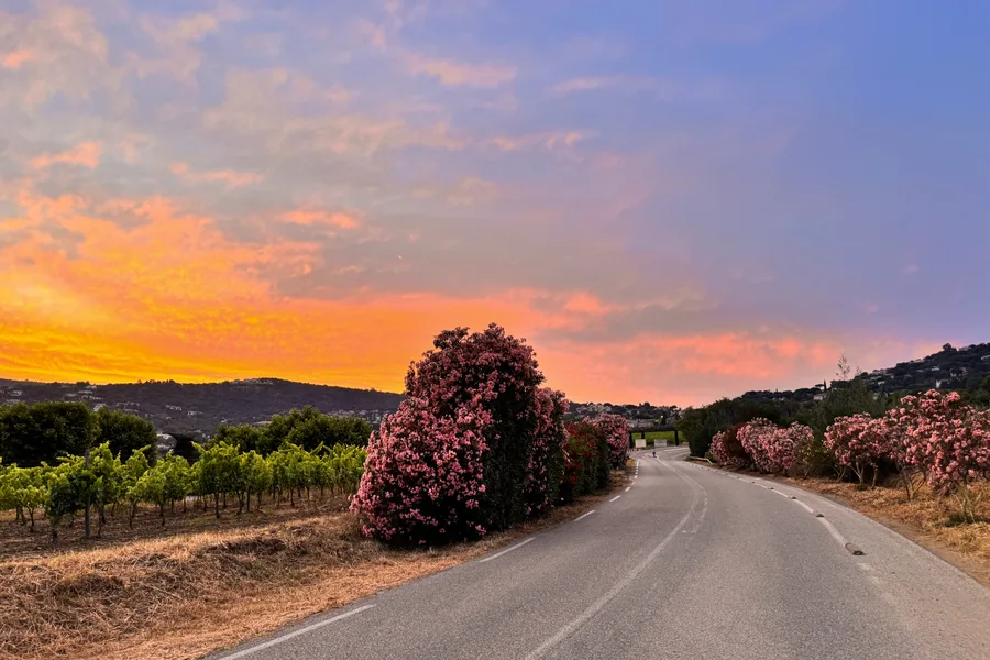 Road to La Croix Valmer at sunset