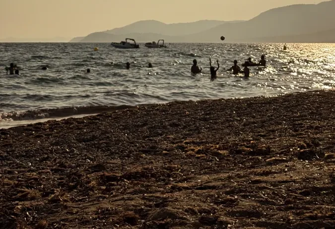 Sunset swim